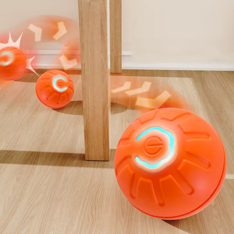 Automatiskt Rullande Boll - Aldrig Mer En Uttråkad Hund